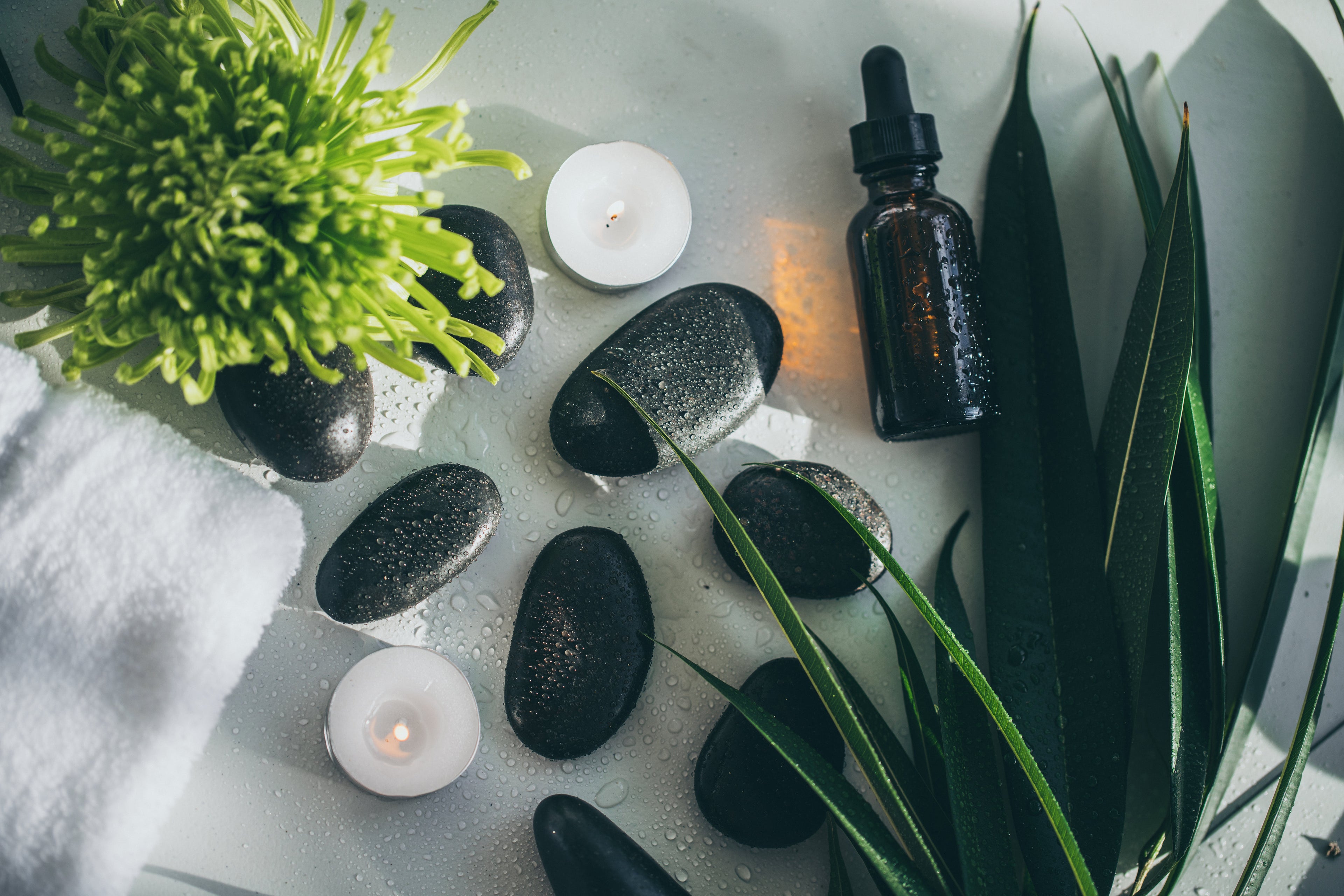 Health & Wellness